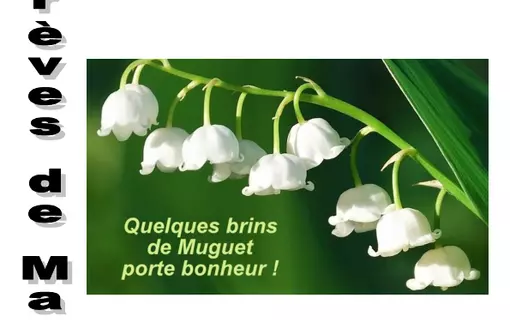 Annee_2020